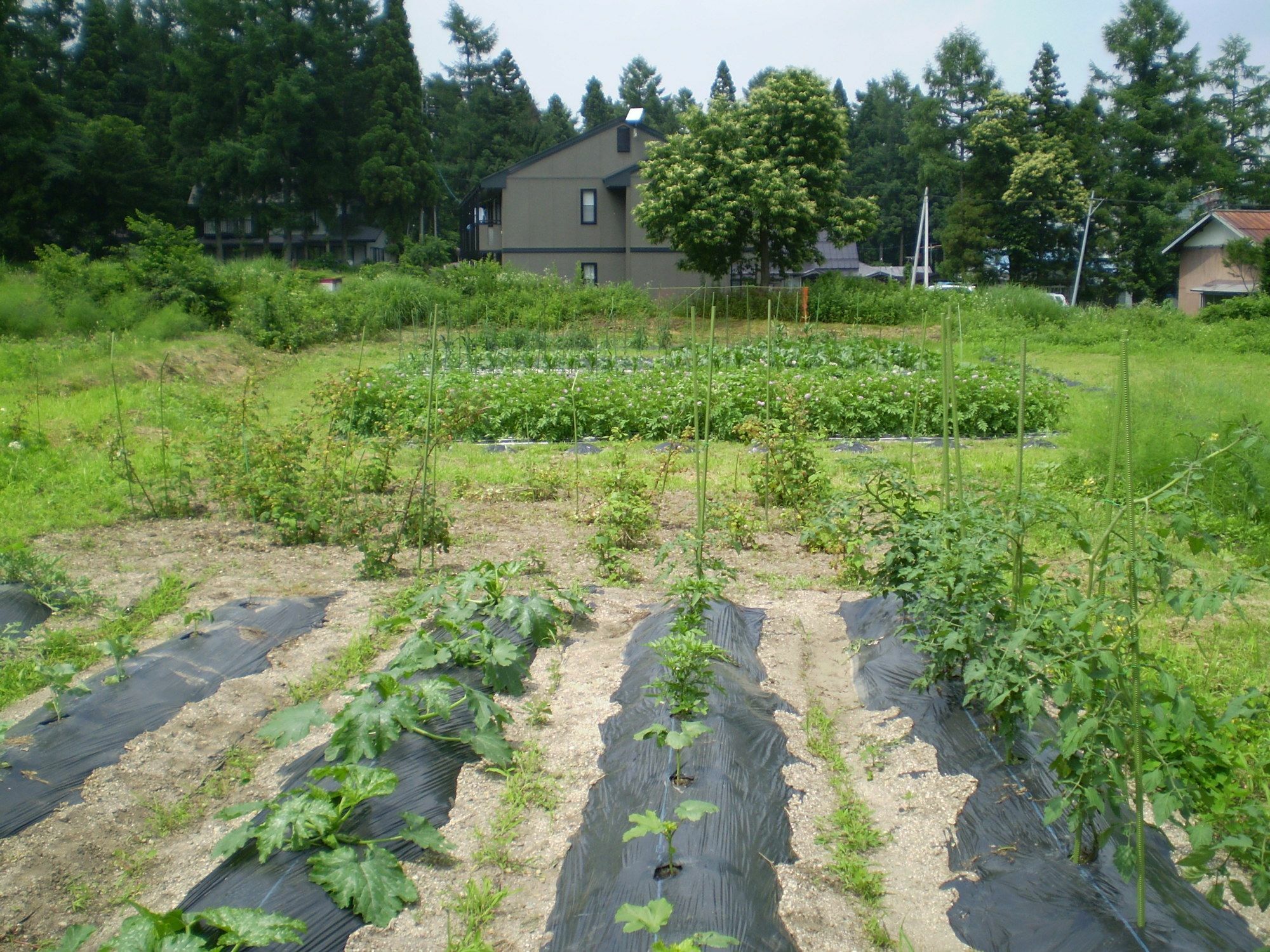 하쿠바 ペンション ちゃうちゃう B&B 외부 사진