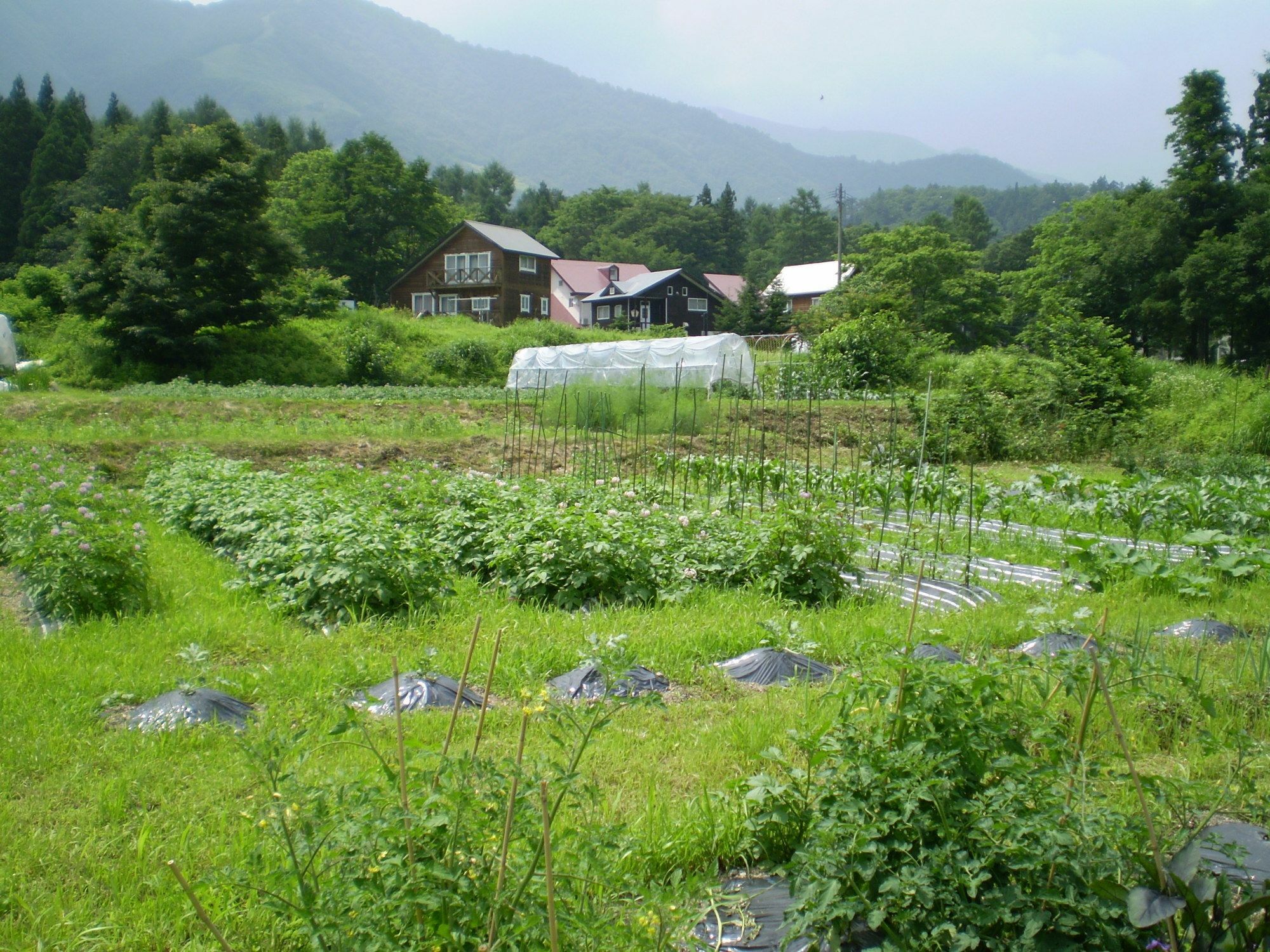 하쿠바 ペンション ちゃうちゃう B&B 외부 사진